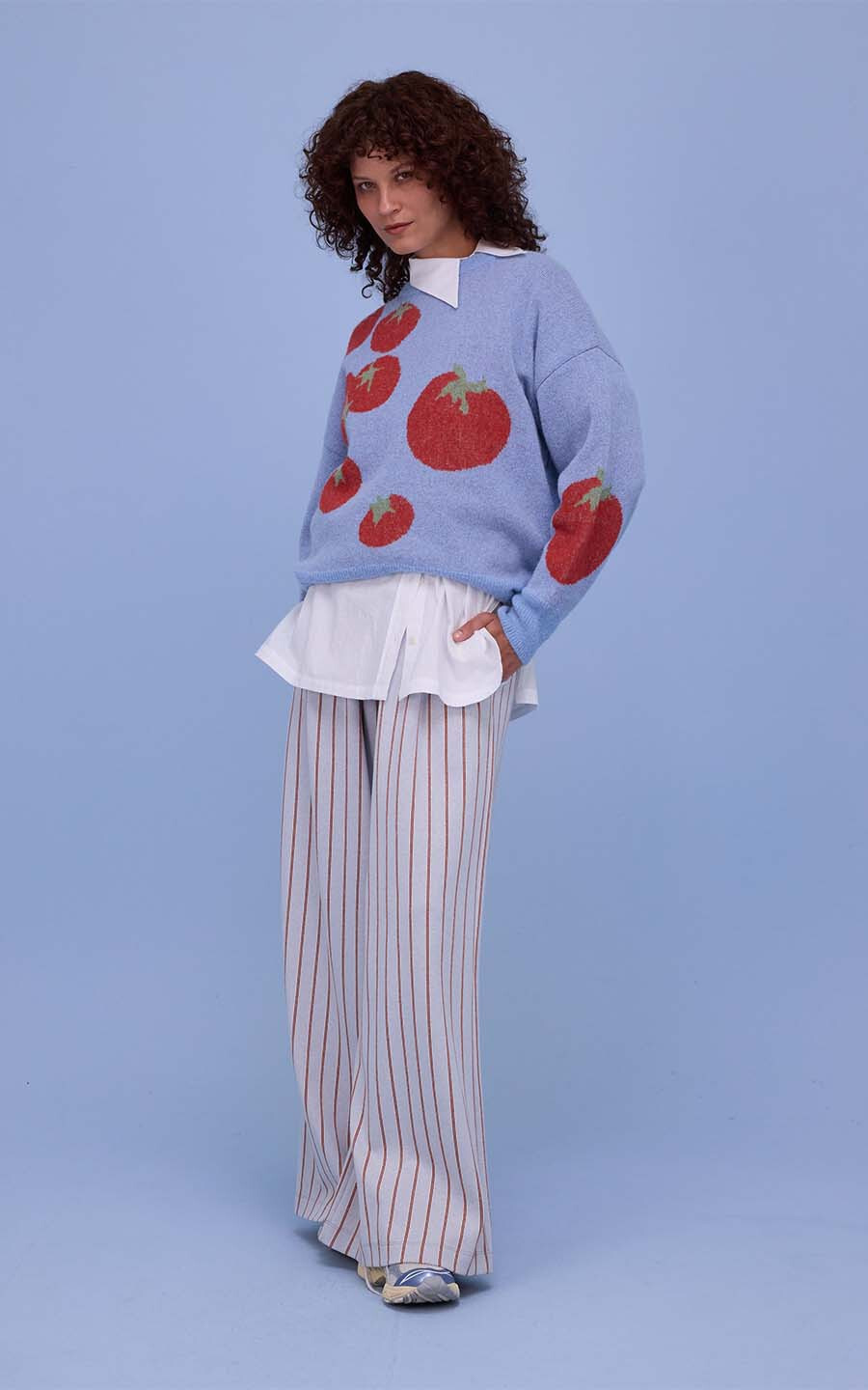 Lichtblauw Trui image