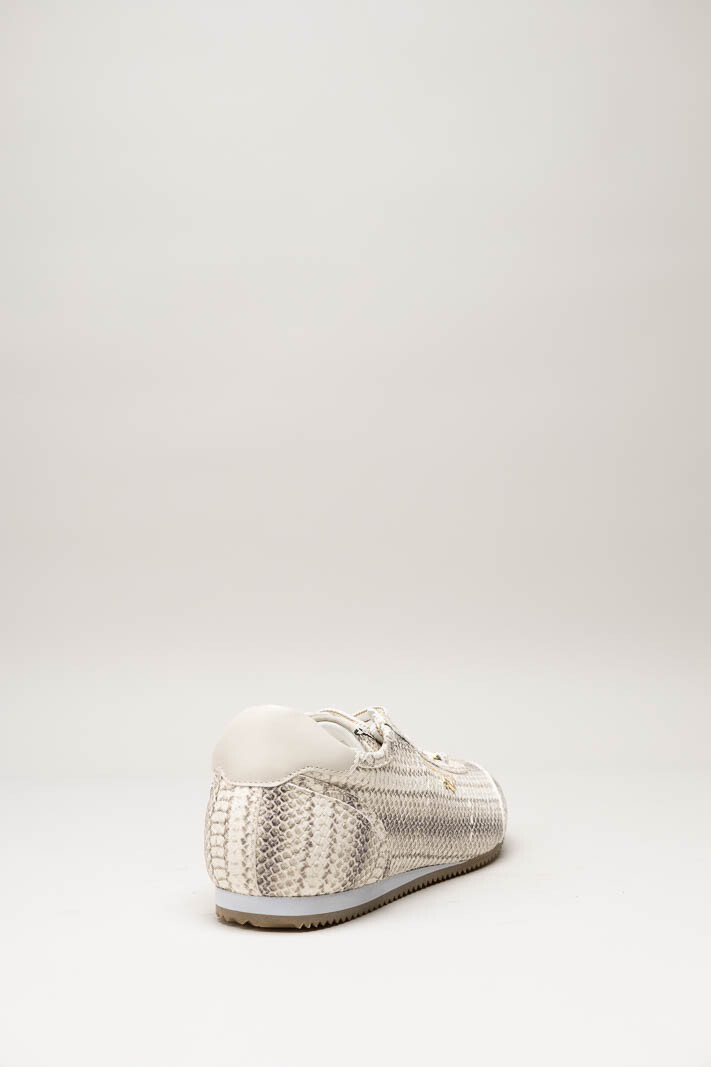 Greige Sneaker image