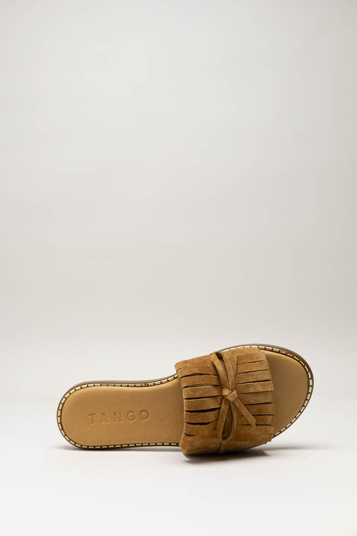 Camel Slipper image