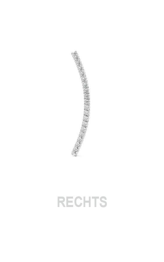Zilver Oorbellen
