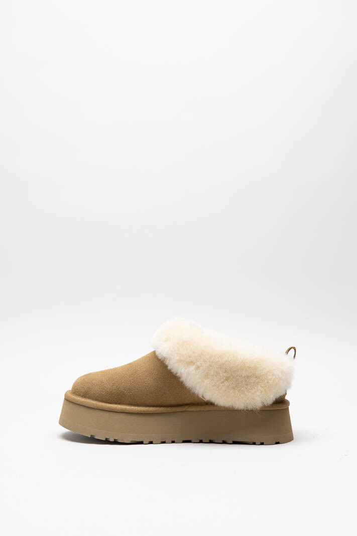 Camel Instapper image