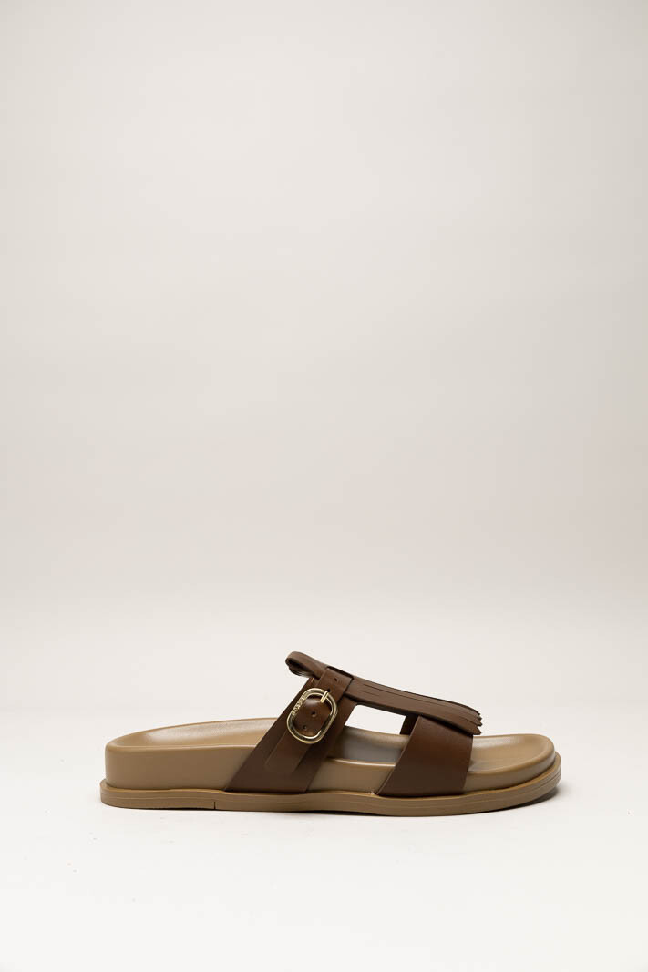 Bruin Slipper