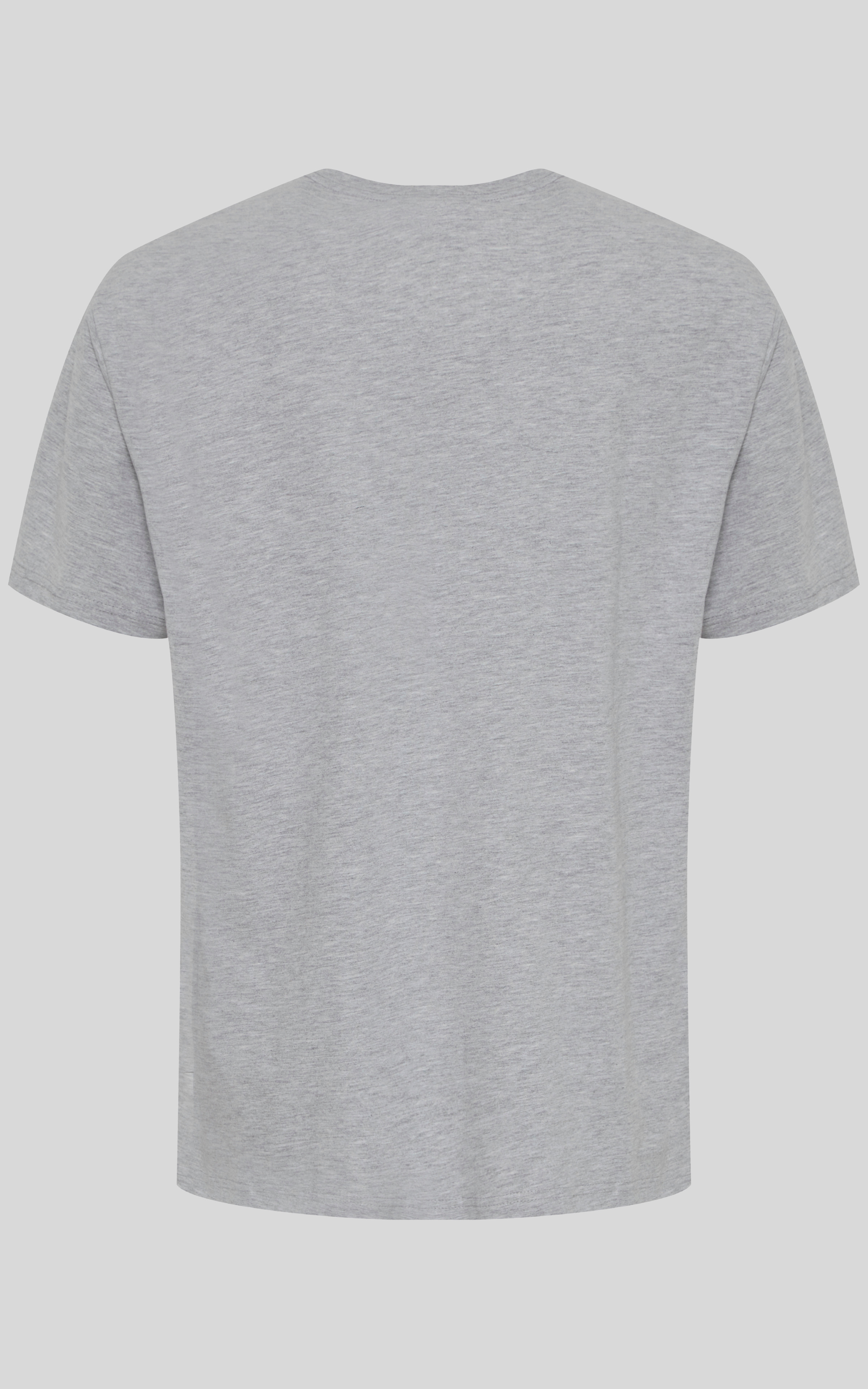 Grijs T-shirt