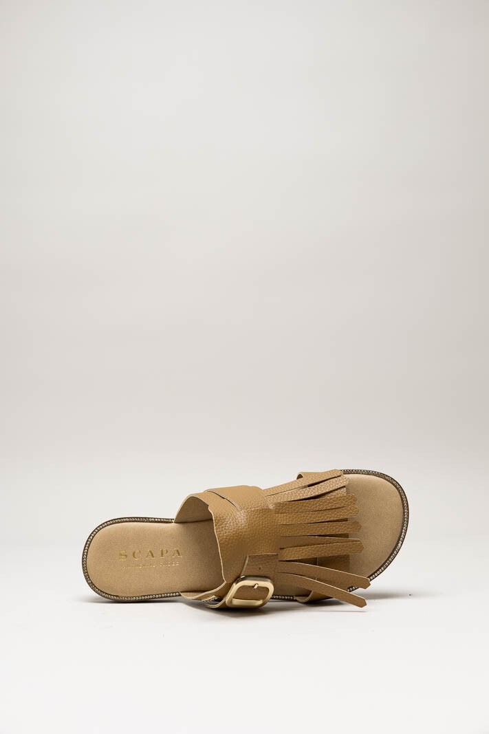Bruin Slipper image