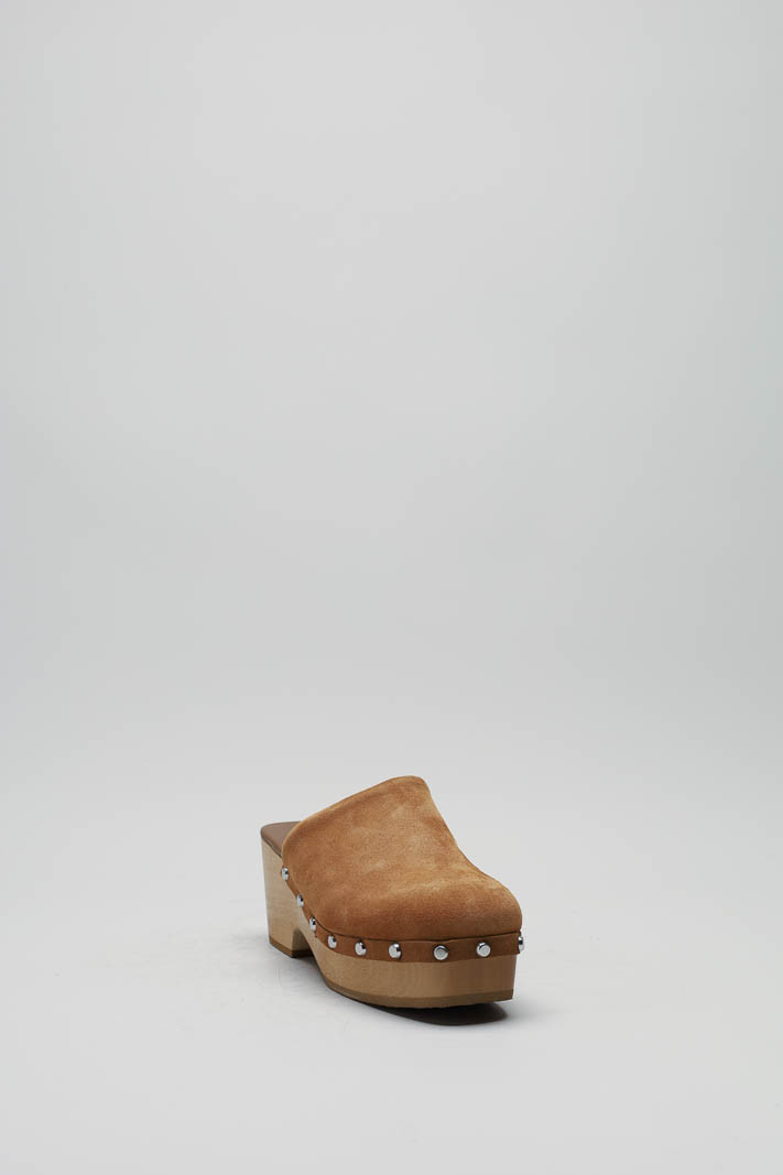 Camel Muiltje