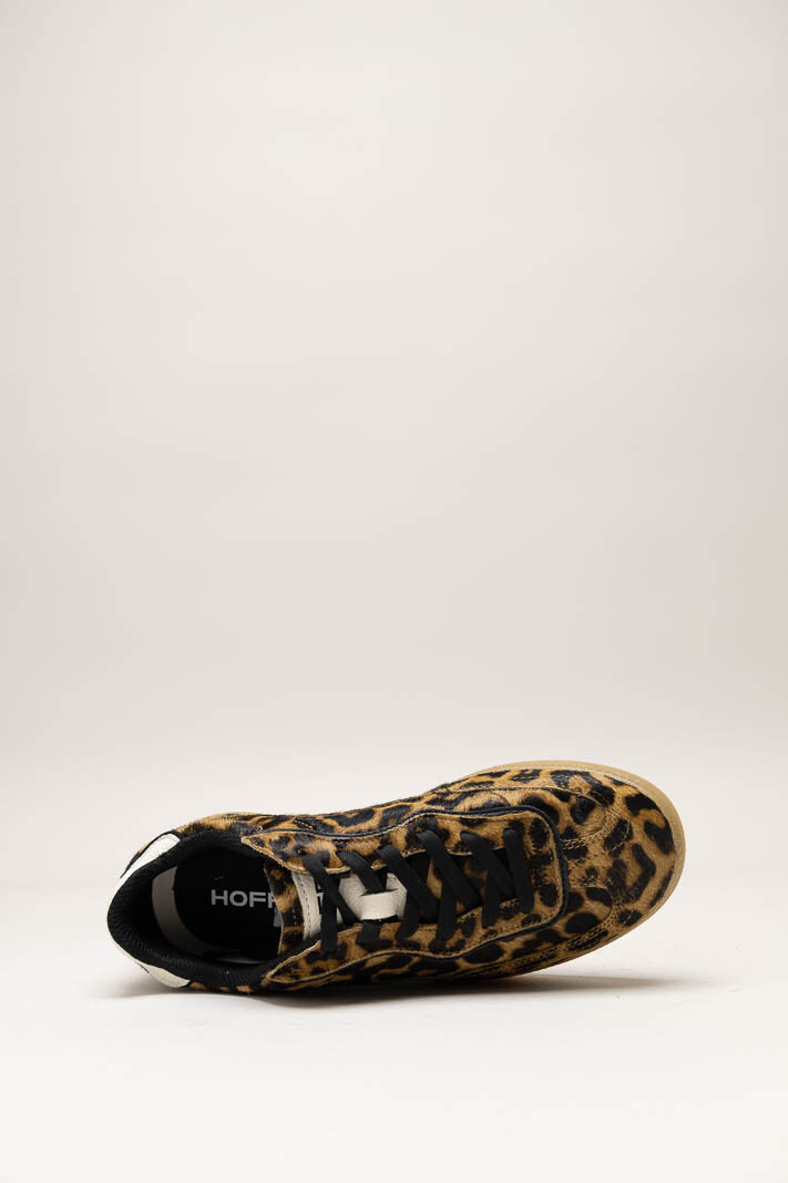 Bruin Sneaker image