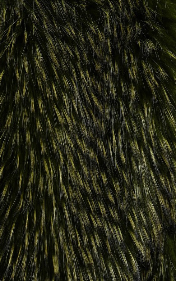 Groen Jas image
