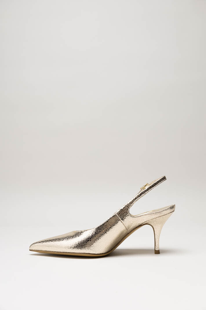 Goud Pump image