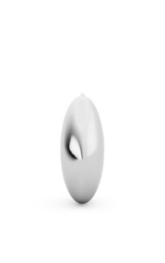 Zilver Oorbellen image