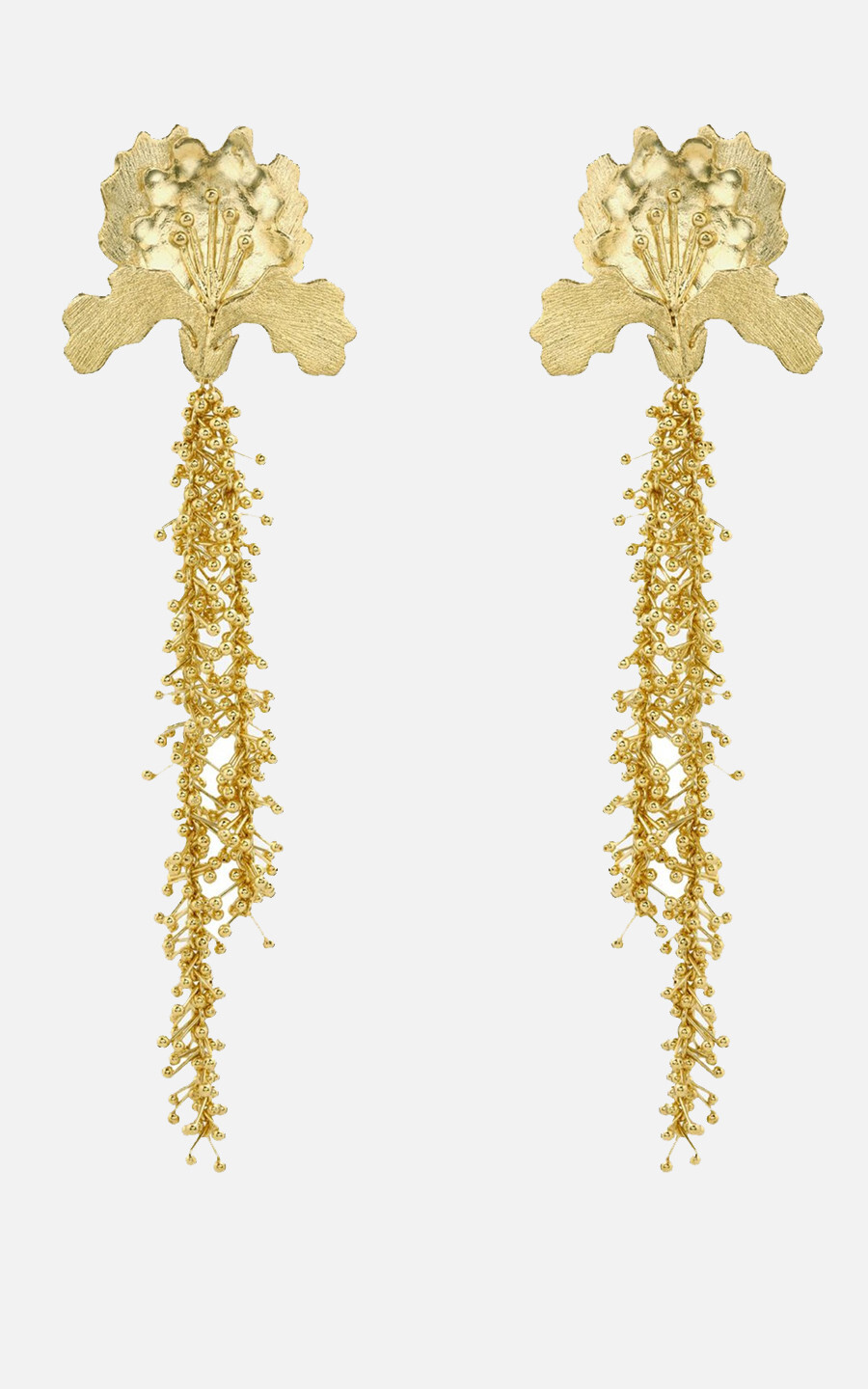 Goud Oorbellen