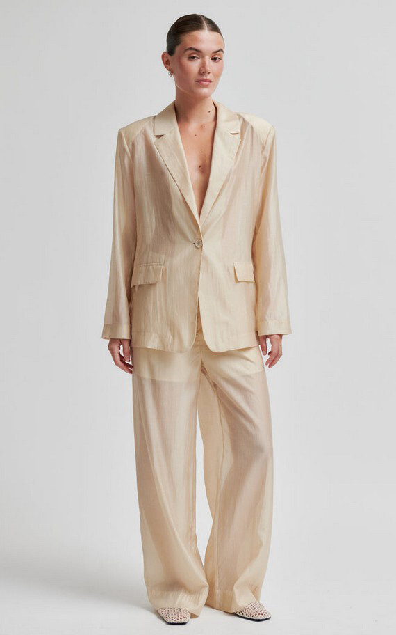 Champagne Blazer image
