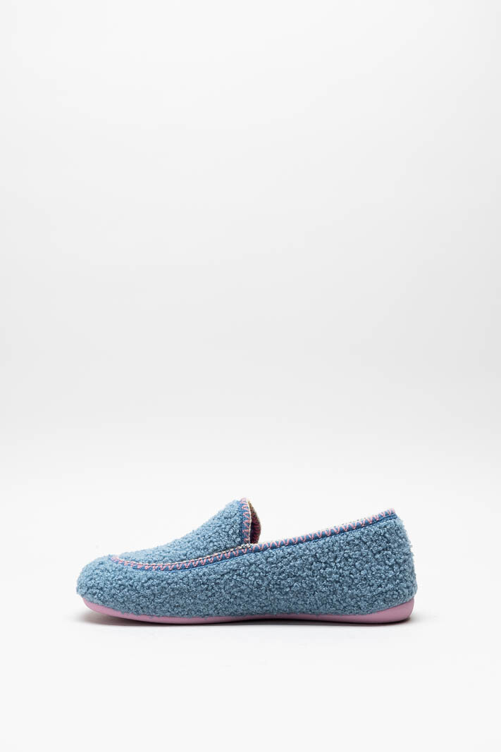 Blauw Pantoffel image