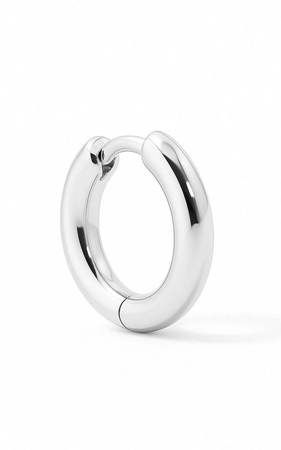 Zilver Oorbellen