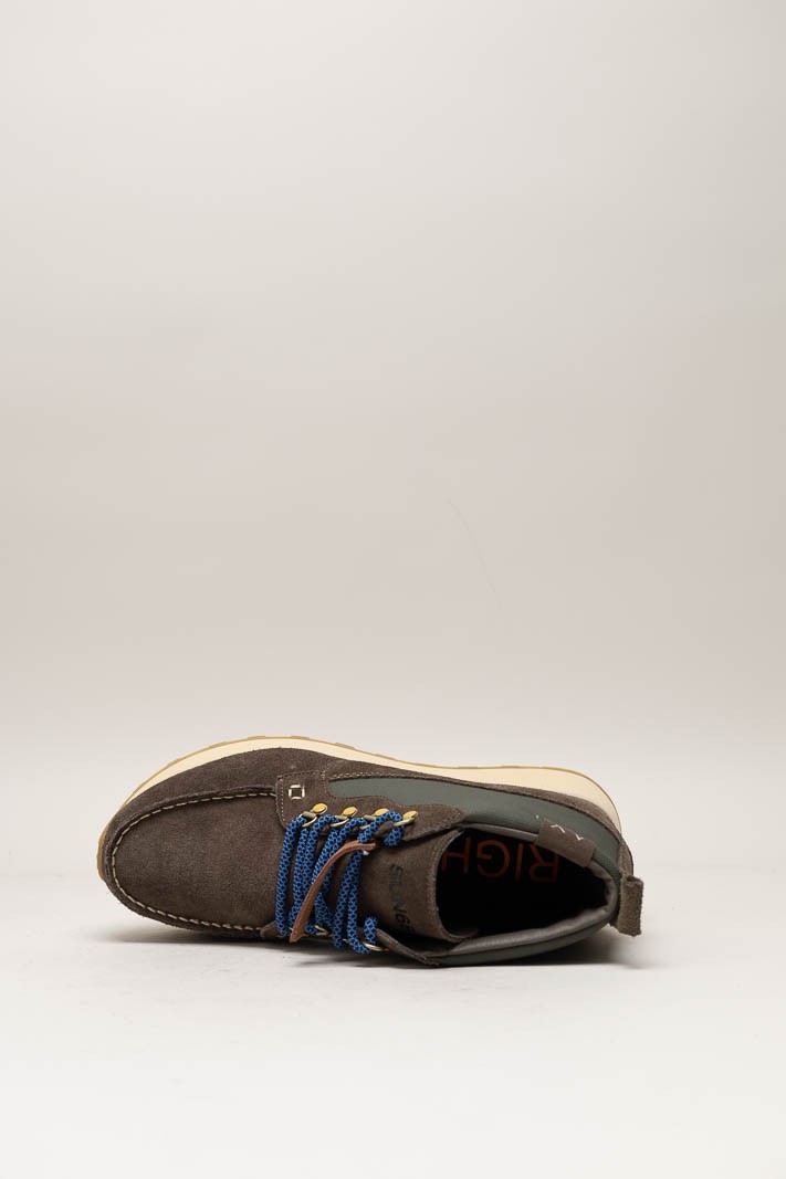 Bruin Sneaker image