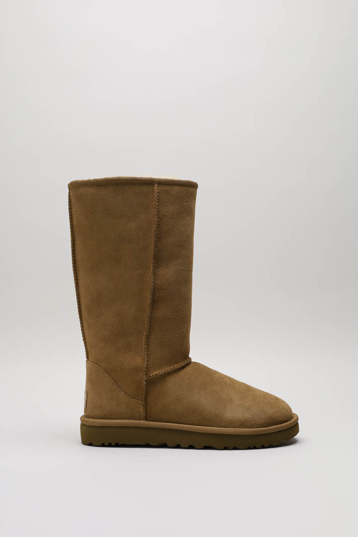 Camel Laars