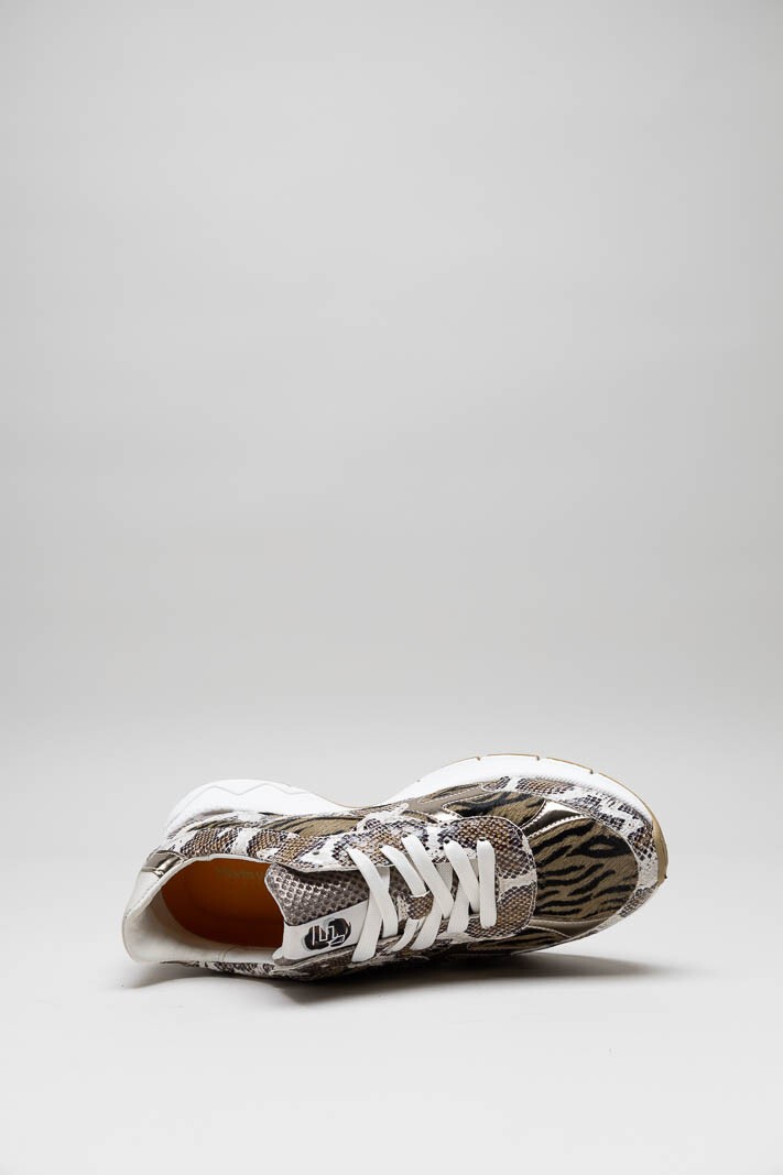 Bruin Sneaker image