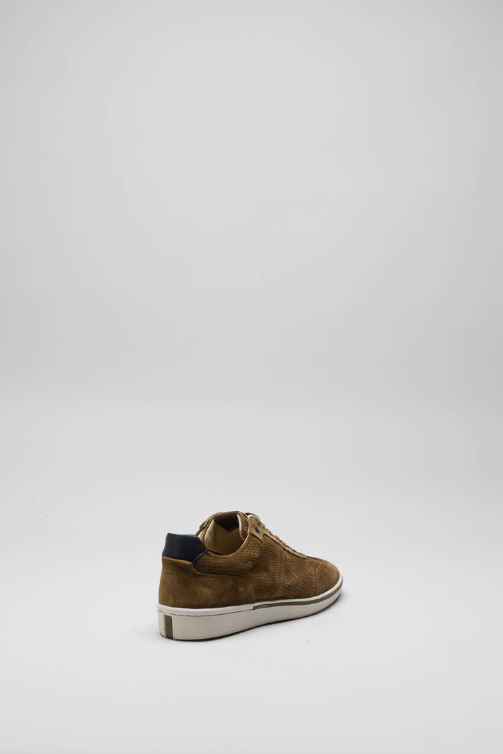 zoom in on Bruin Sneaker image Bruin Sneaker image