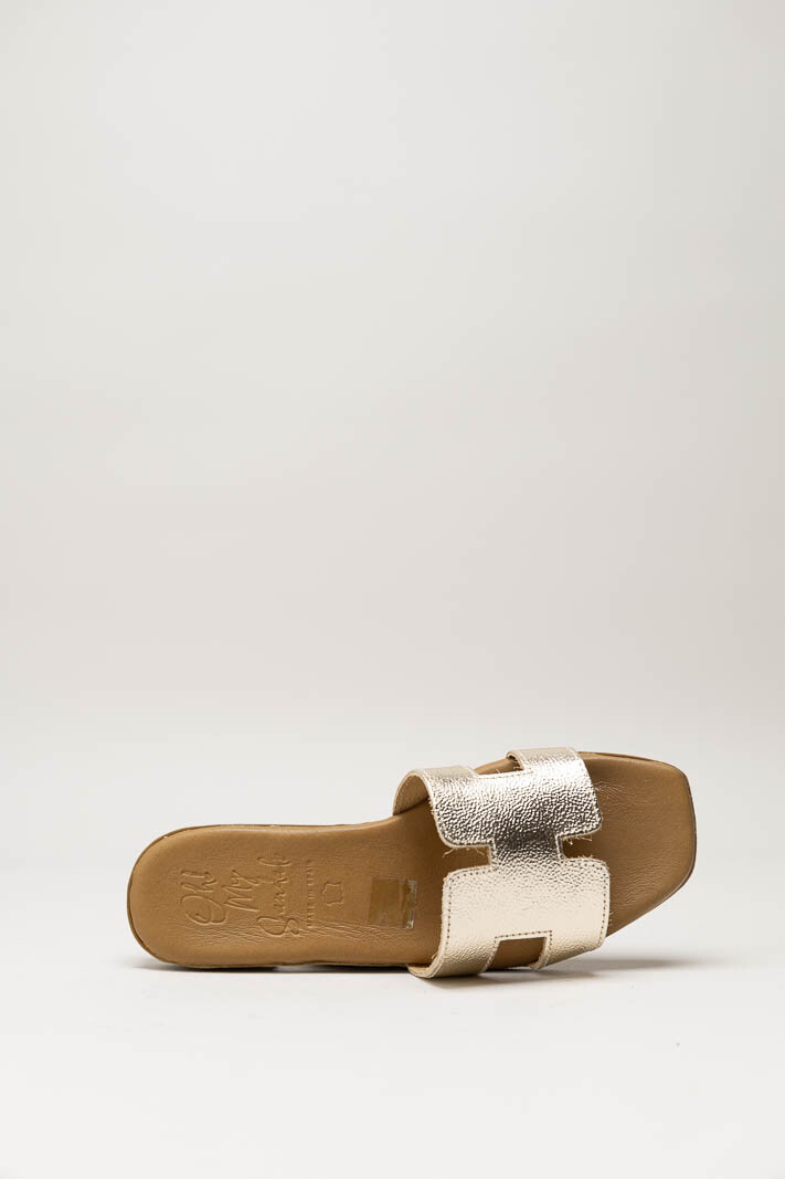 Goud Slipper image