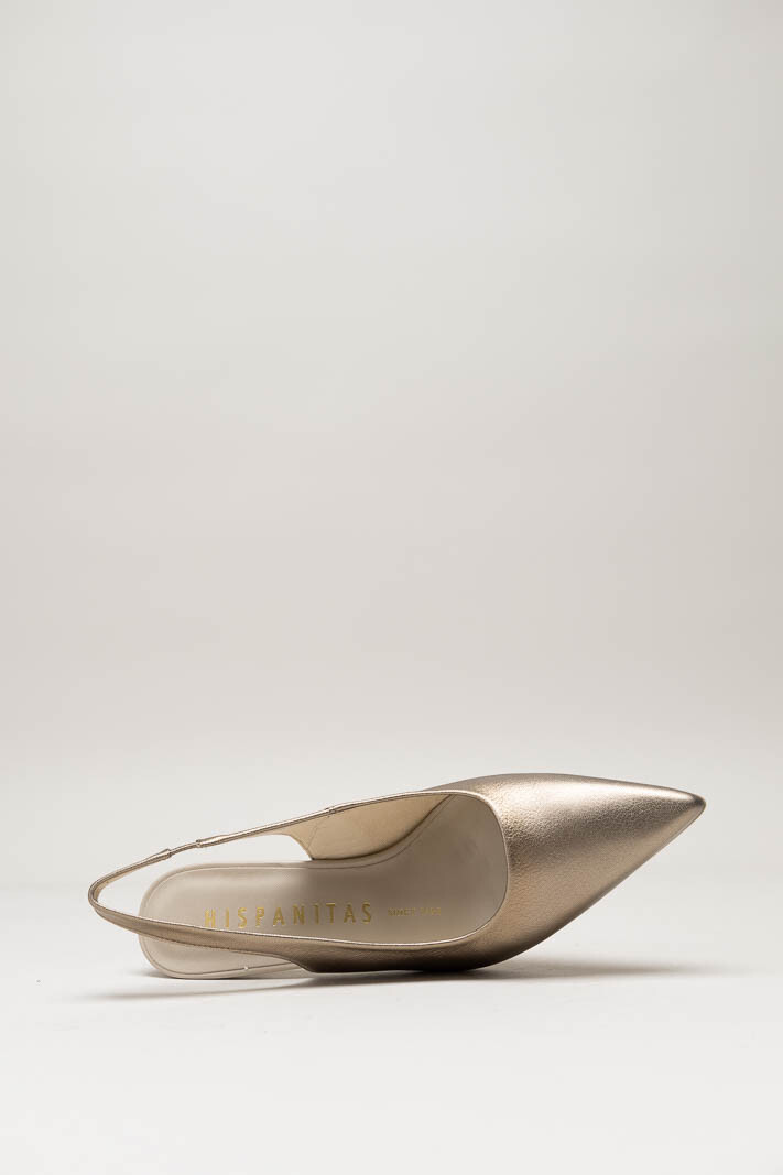 Goud Pump image