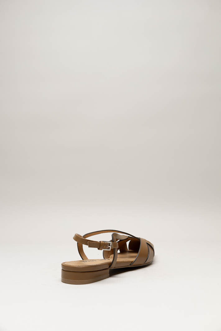 Bruin Ballerina image