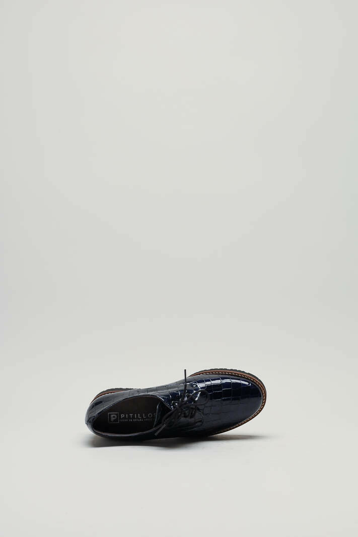 zoom in on Blauw Veterschoen image Blauw Veterschoen image