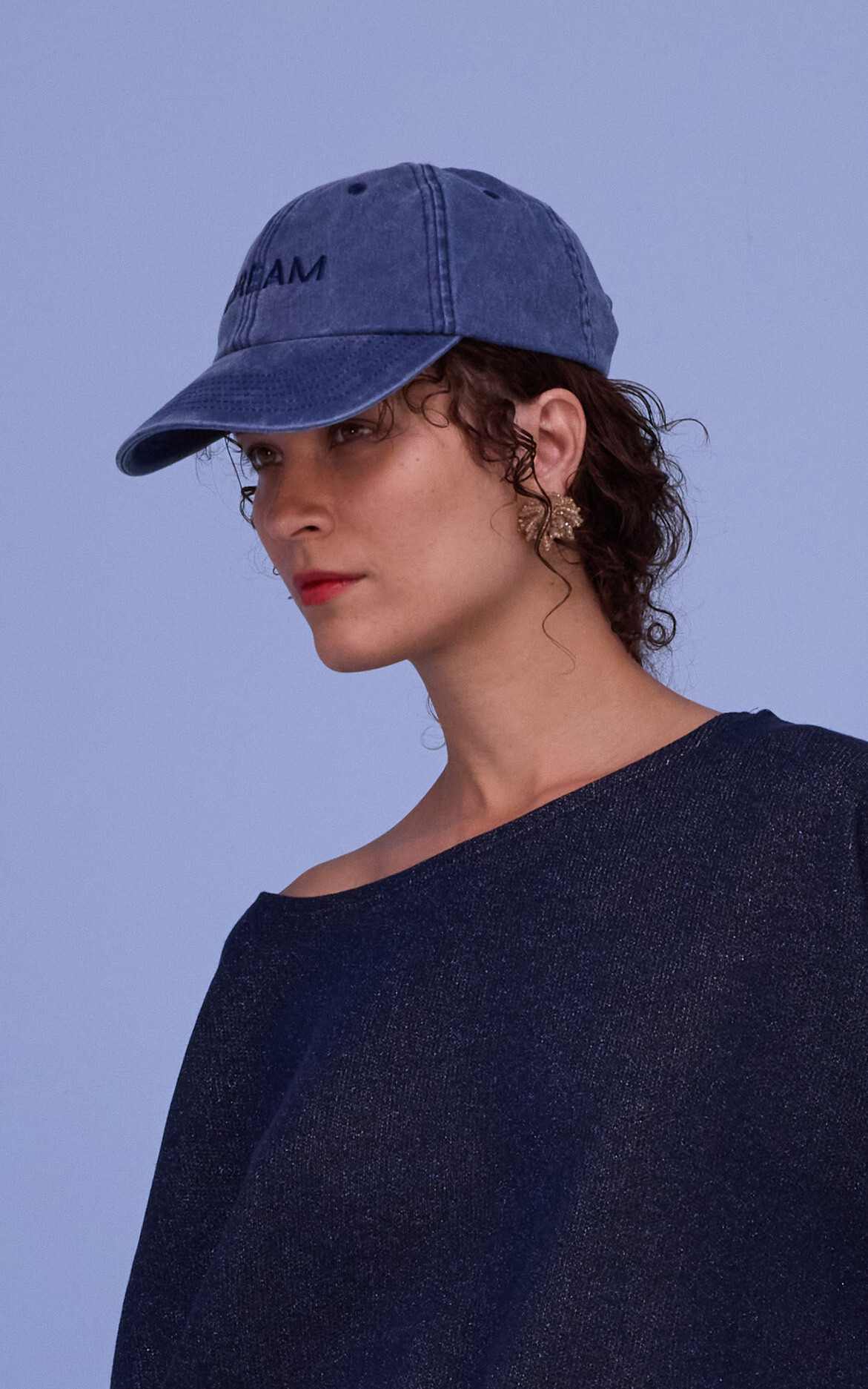 Blauw Pet image
