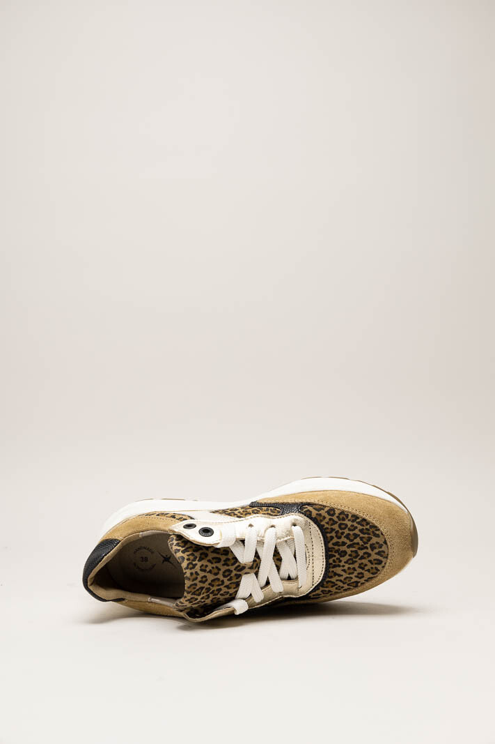 Camel Sneaker image