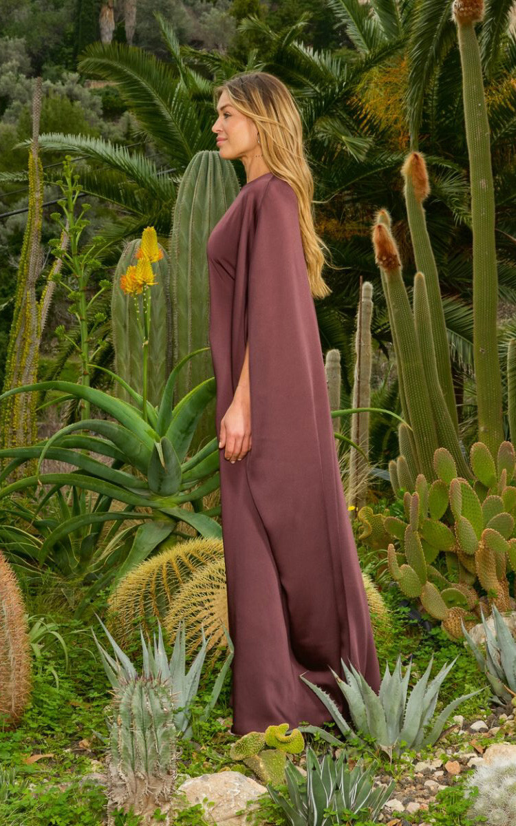 Bruin Jurk image