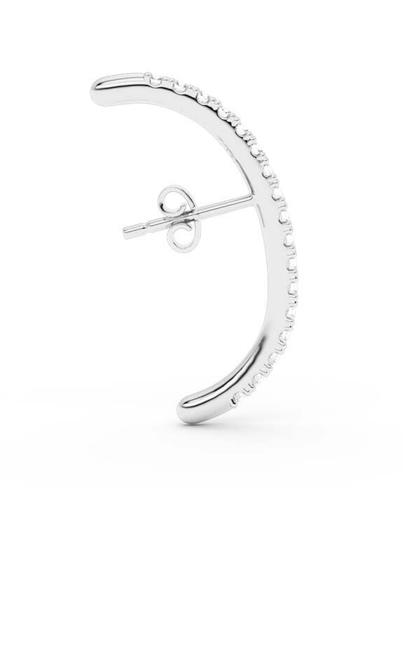Zilver Oorbellen