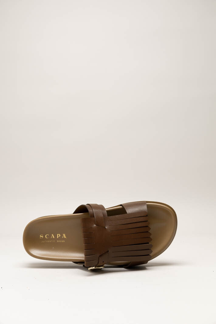 Bruin Slipper image