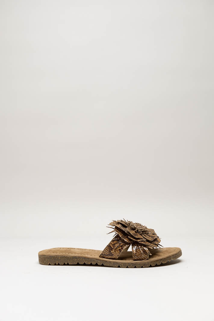 Bruin Slipper