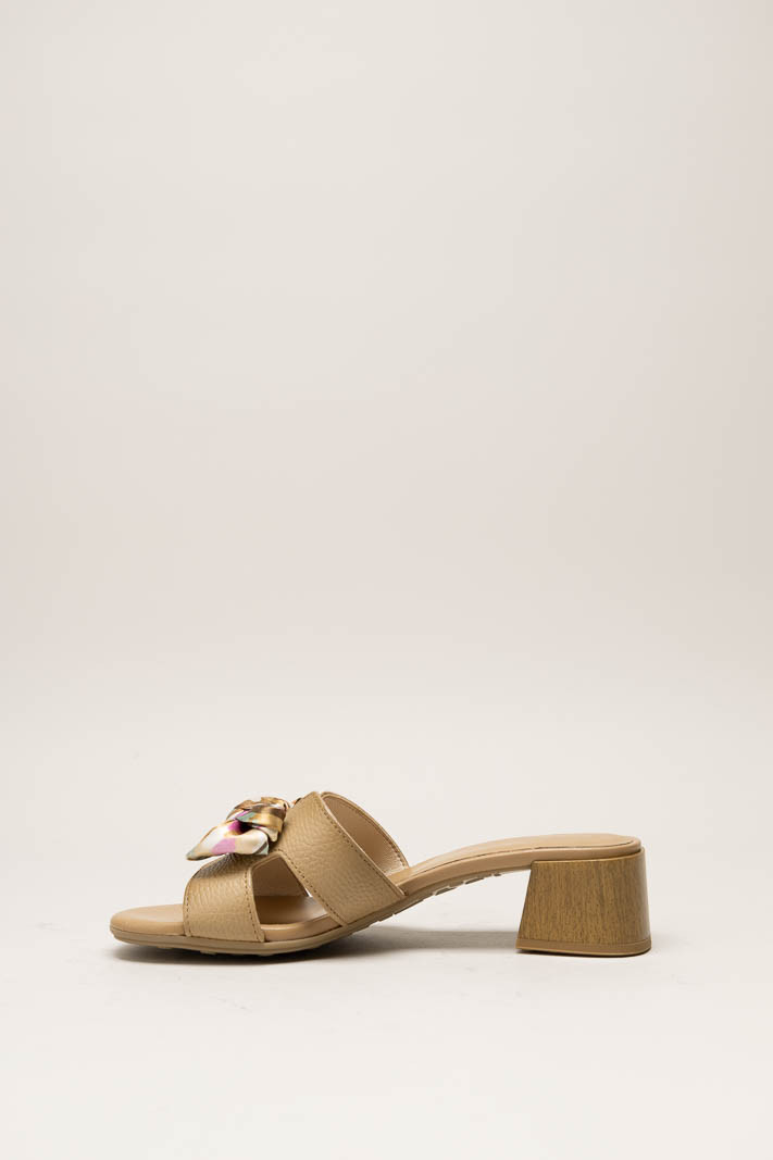 Lichtbruin Muiltje image