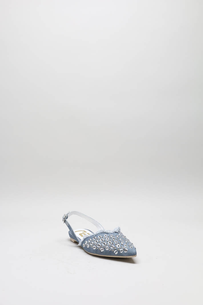 zoom in on Blauw Muiltje image Blauw Muiltje image