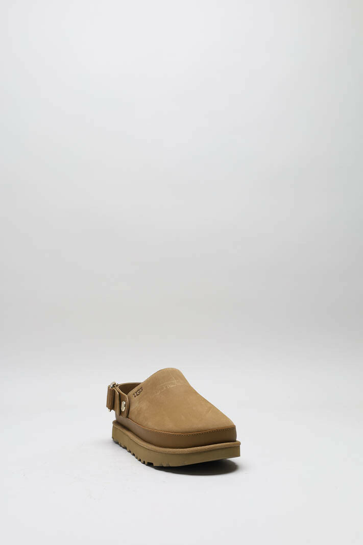 Camel Muiltje