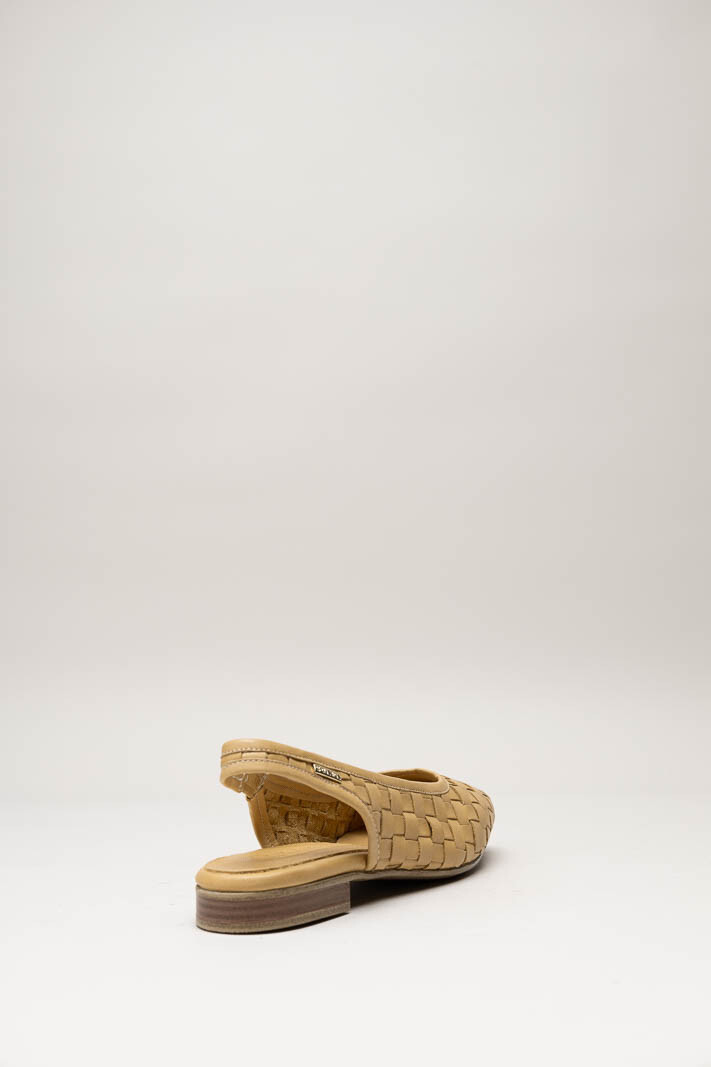Camel Ballerina image