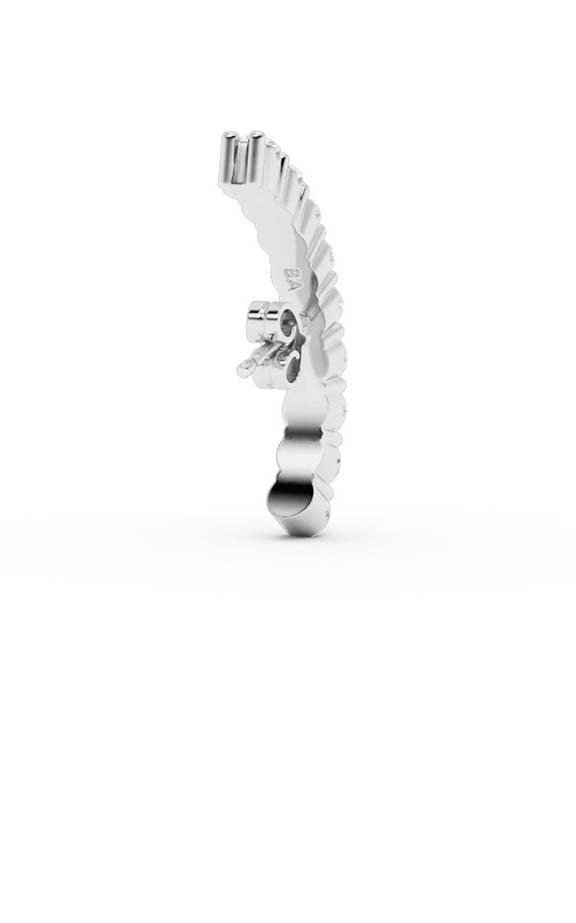 Zilver Oorbellen image