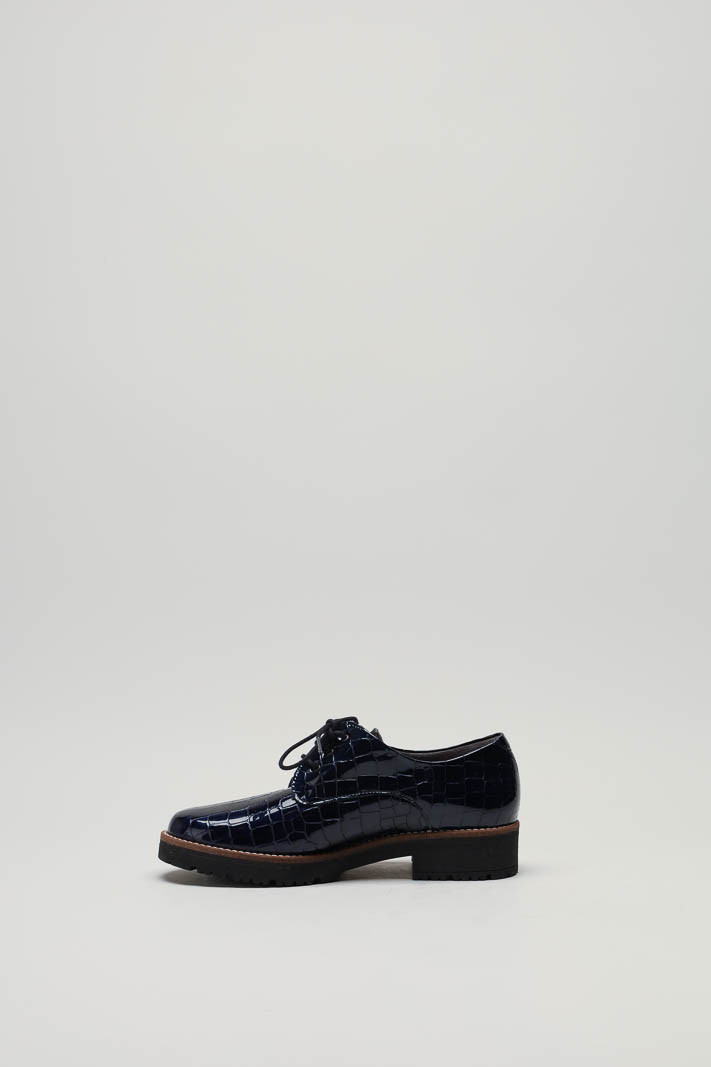 zoom in on Blauw Veterschoen image Blauw Veterschoen image