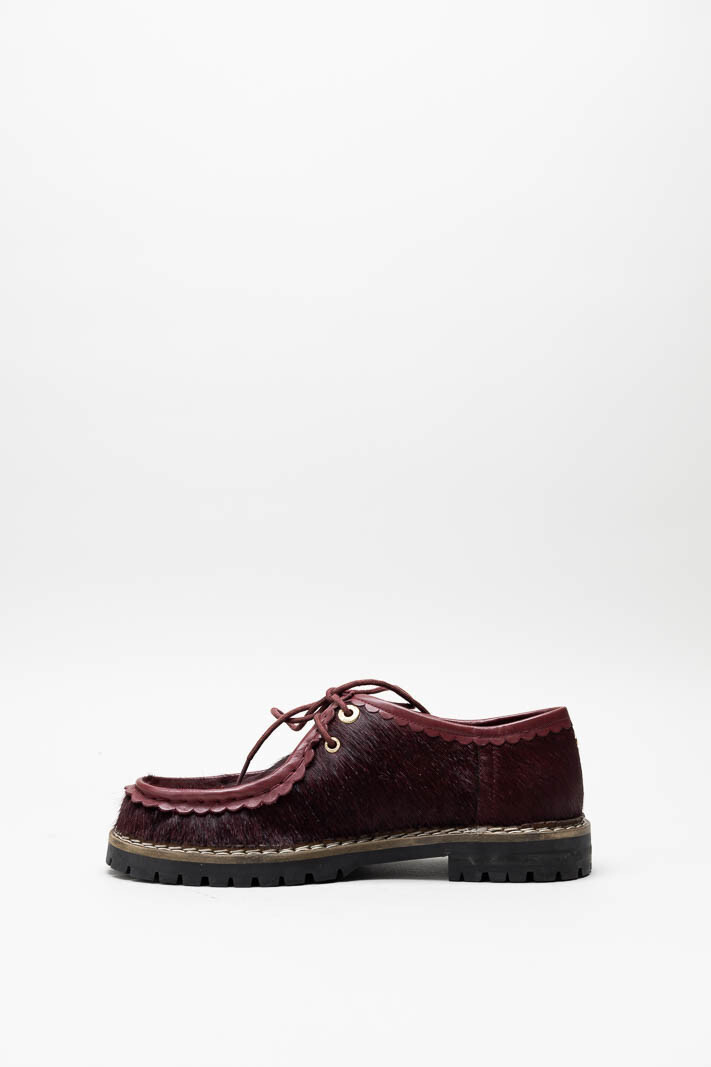 Bordeaux Veterschoen image