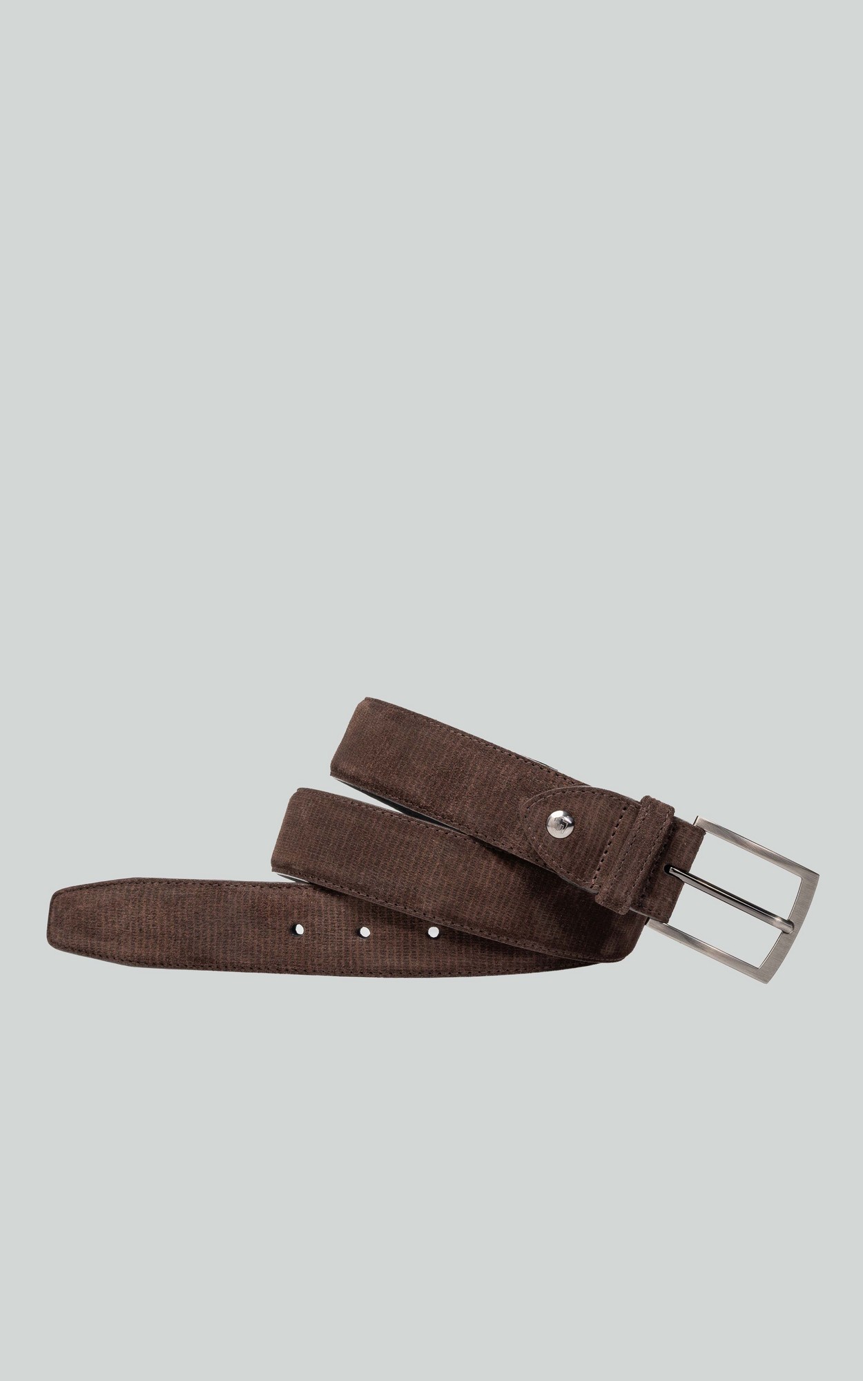 Bruin Riem