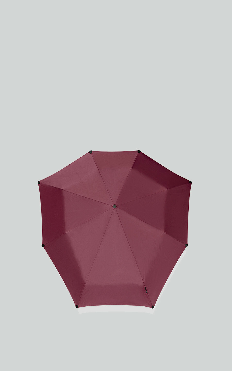 Roze Paraplu s image