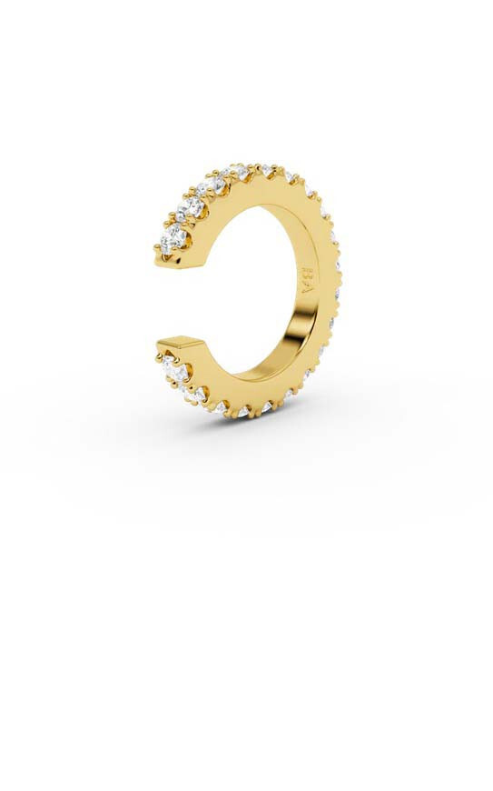 Goud Oorbellen image