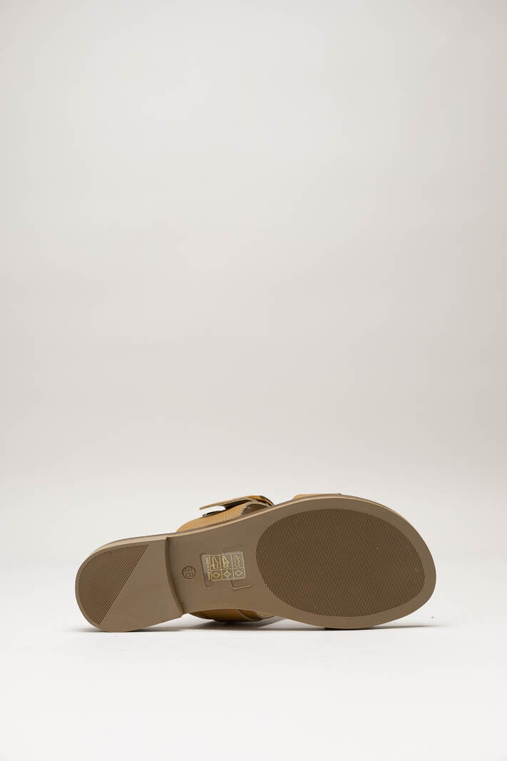Bruin Slipper image