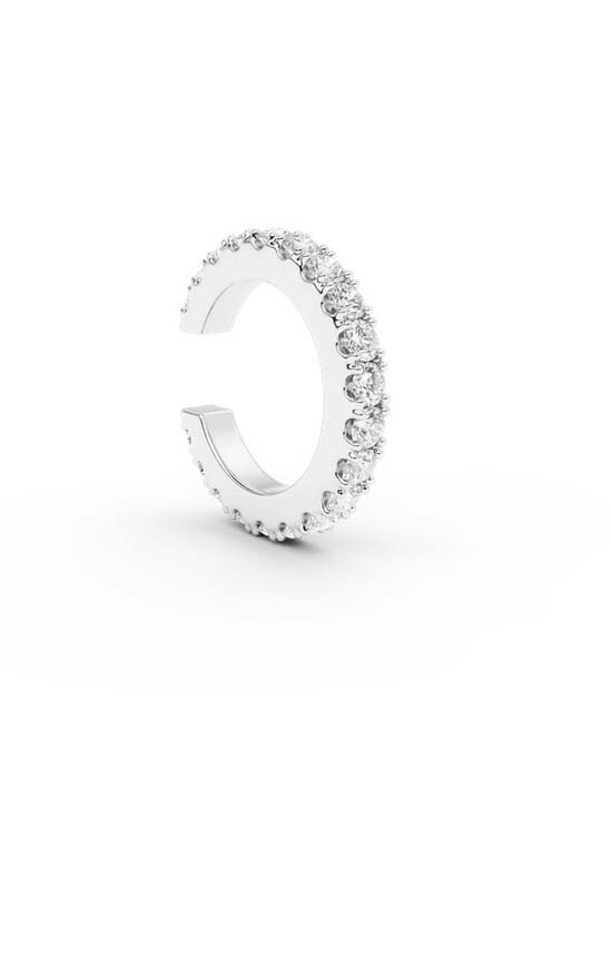 Zilver Oorbellen