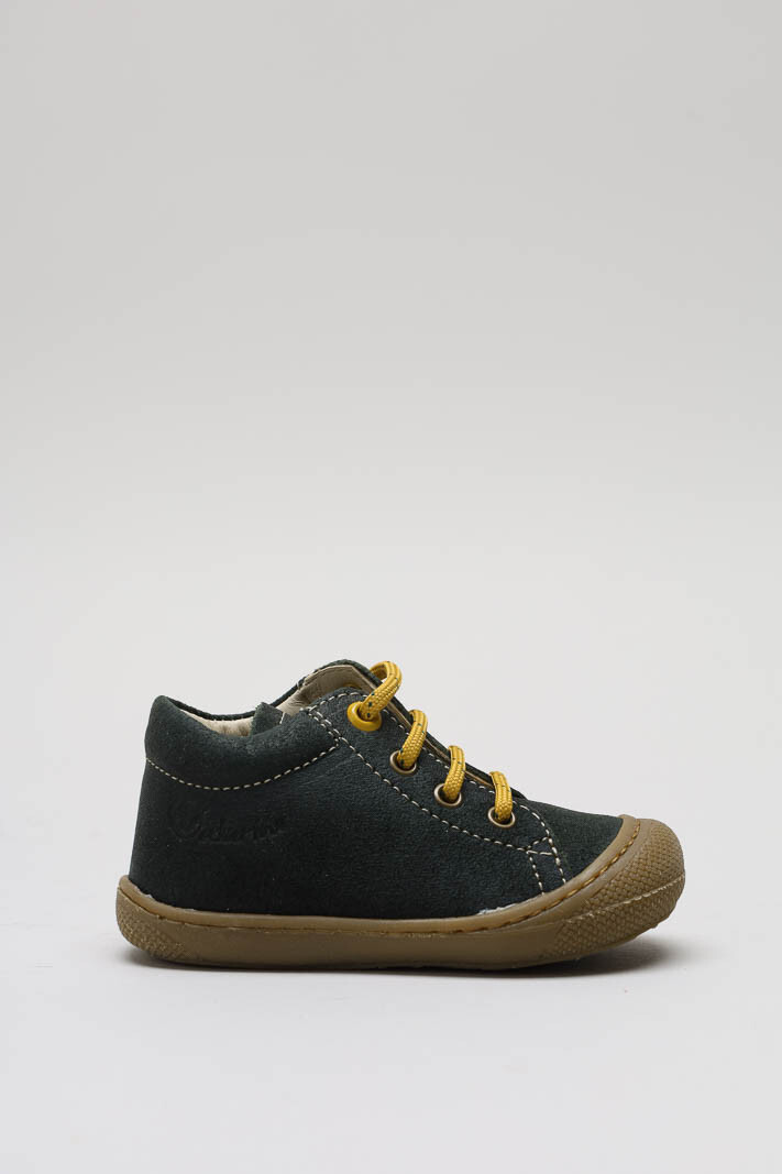 GROEN