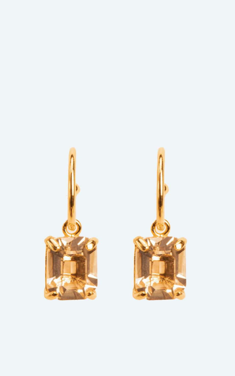 Goud Oorbellen