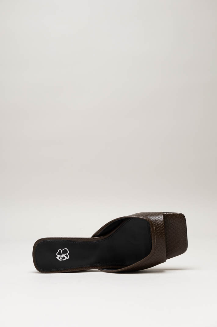 Donkerbruin Muiltje image