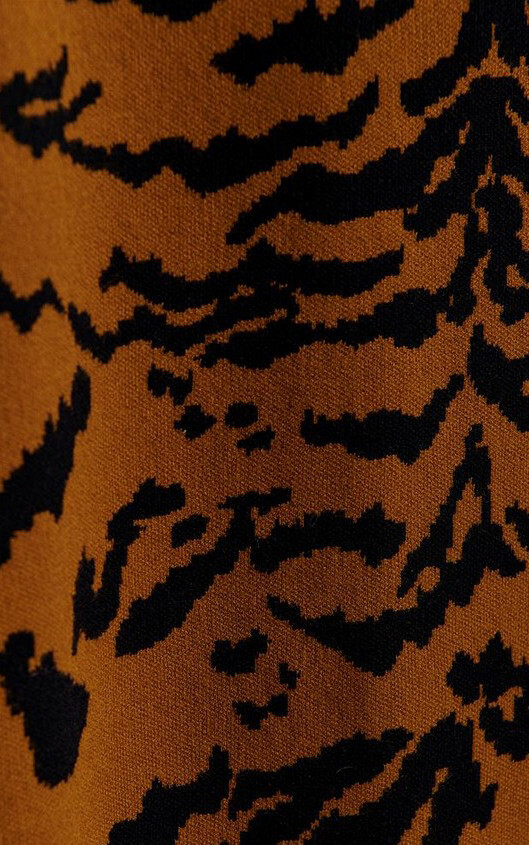 zoom in on Camel Rok image Camel Rok image