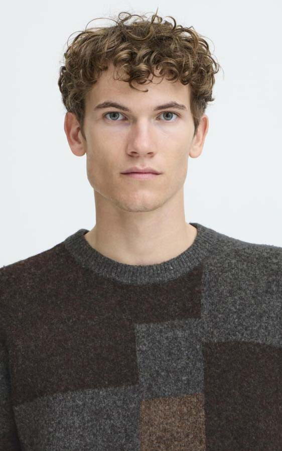 Bruin Trui image