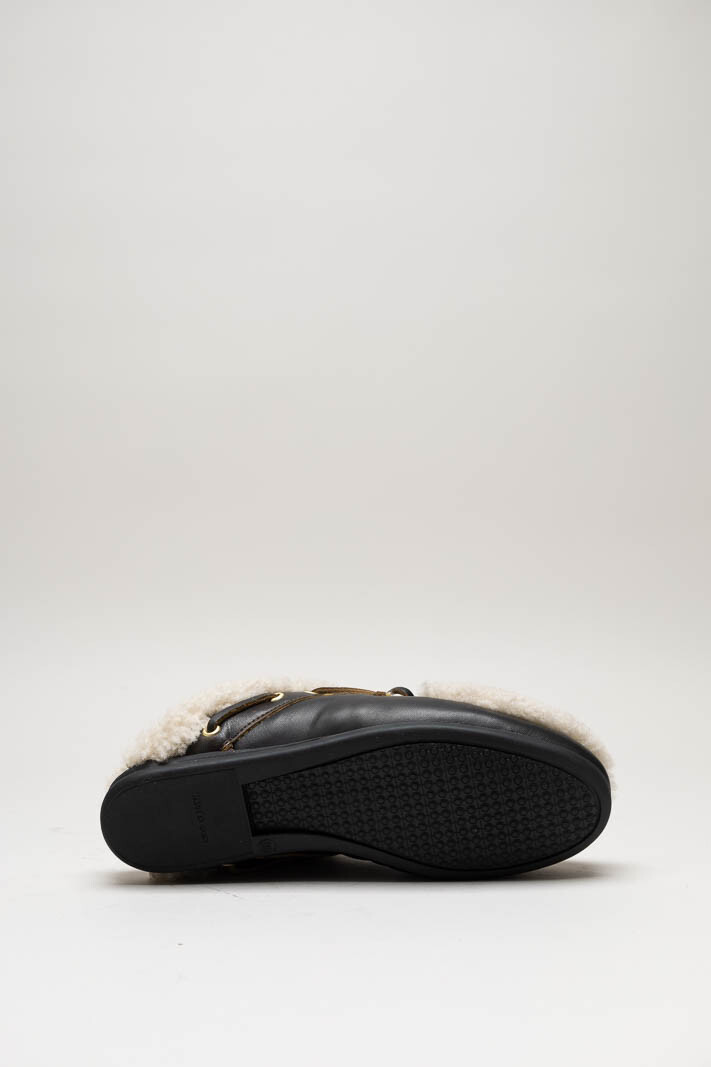 Donkerbruin Muiltje image