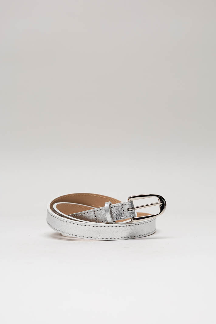 Zilver Riemen